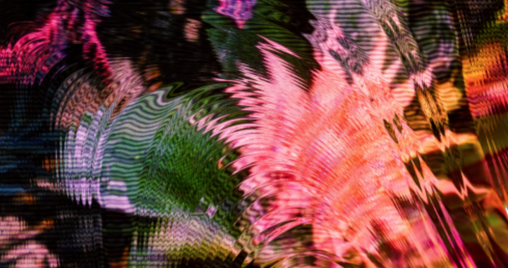 Enter into a new world with Camila Fuchs