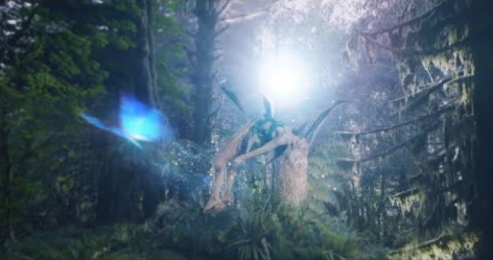 NOURI shares: Yalla Yalla