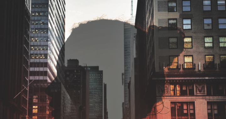 “Wild And Free” with Agressive Monk and David Onka