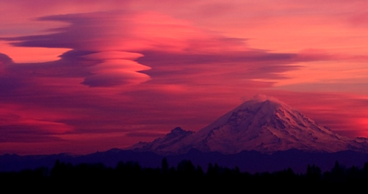 Welcome into the captivating world of “Let Me Go”