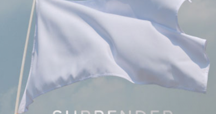 “Surrender” with BONSAI MAMMAL