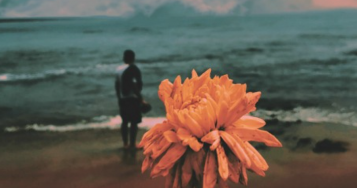 ‘Hope You Grow’: another beautiful gem by THE INFINITE DAISY CHAINS