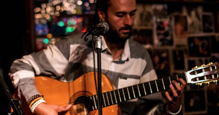 A journey through nature and pleasant energies with Albert Alabedra’s new album ‘Wood Wide Web’