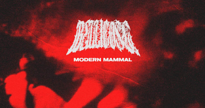Bellicose Shakes the Core with Modern Mammal: A Visceral Experience