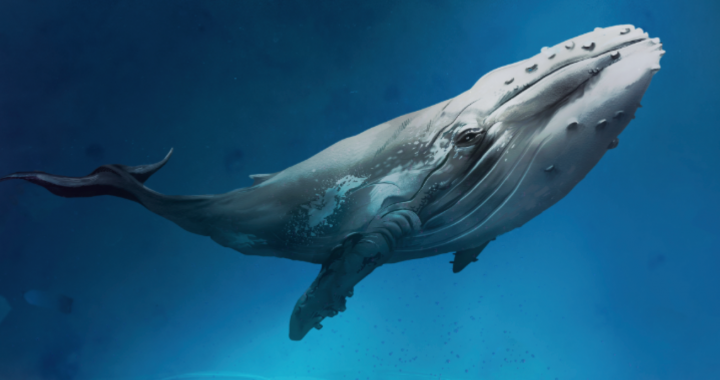Lowland Folk: Discovering the Magic of “WhaleSong Sounding”