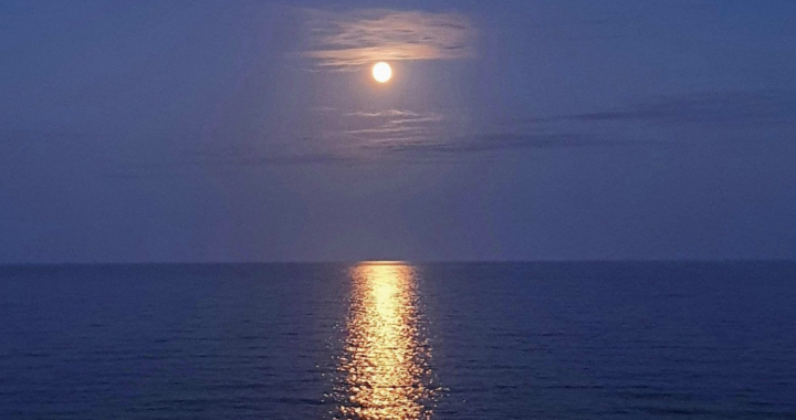 A Quiet Sunburst: Martin Lloyd Howard’s “Selene”