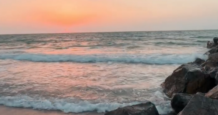 “Ted Stanley’s Shoreline: Where Music Heals and Remembers