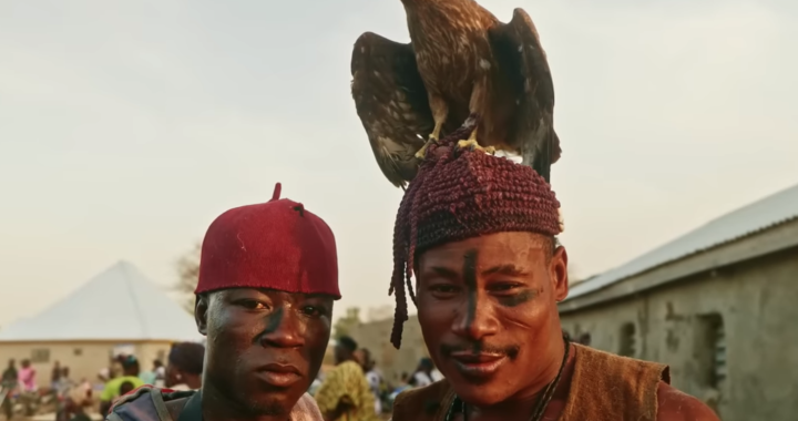 King Ayisoba feat Rocky Dawuni”No Tradition No Africa”